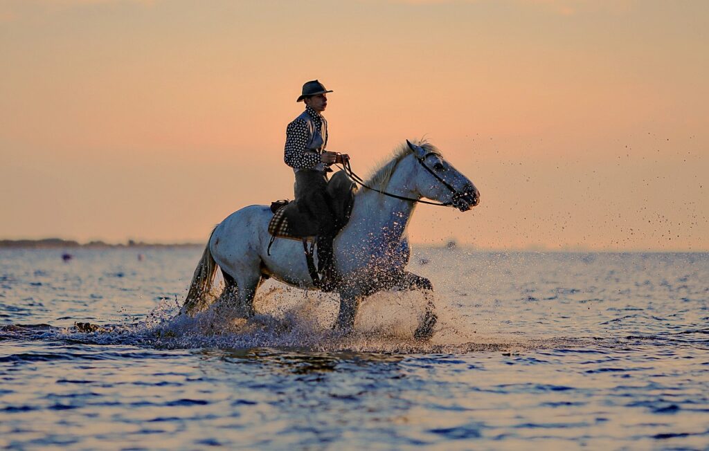 rider, nature, horse-1542465.jpg